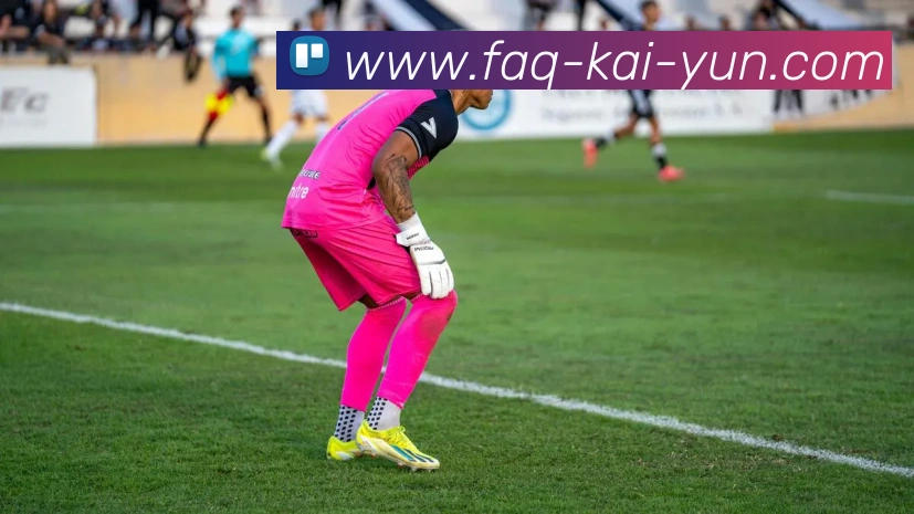 开云平台生态图